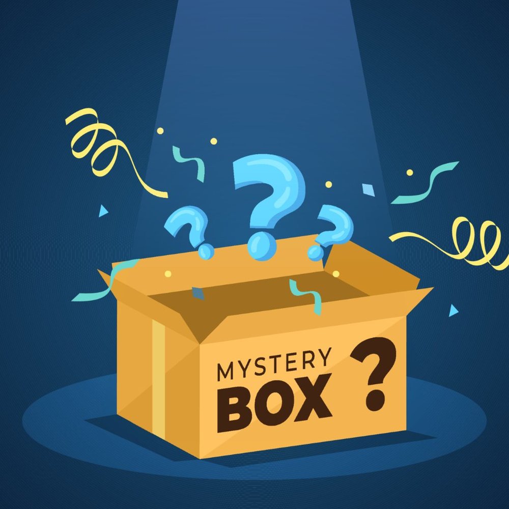 10 PIECE BOX Mystery Box of Womens Tops  Size XL